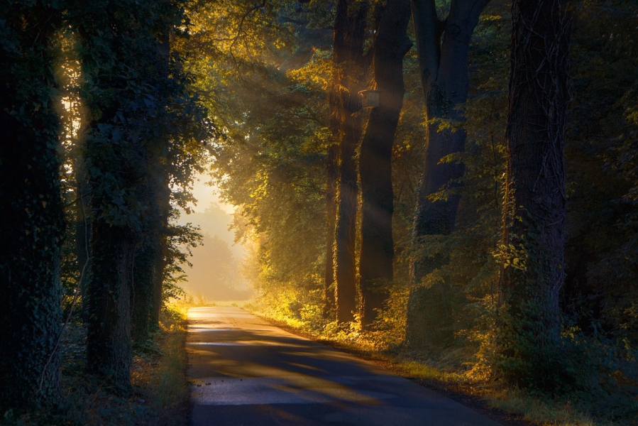 path-7341731_1280